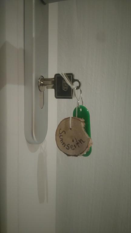 Ferienwohnung Sunnseitn Haus im Ennstal Zewnętrze zdjęcie